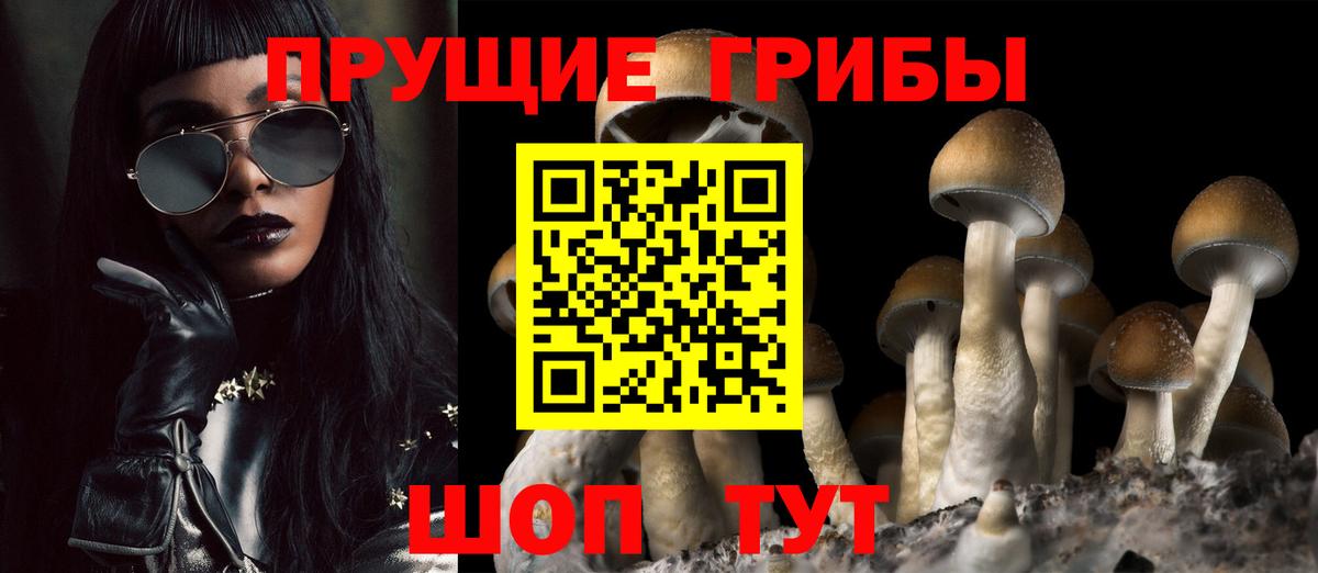 Псилоцибиновые грибы Magic Shrooms  Вход с VPN  Лыткарино 