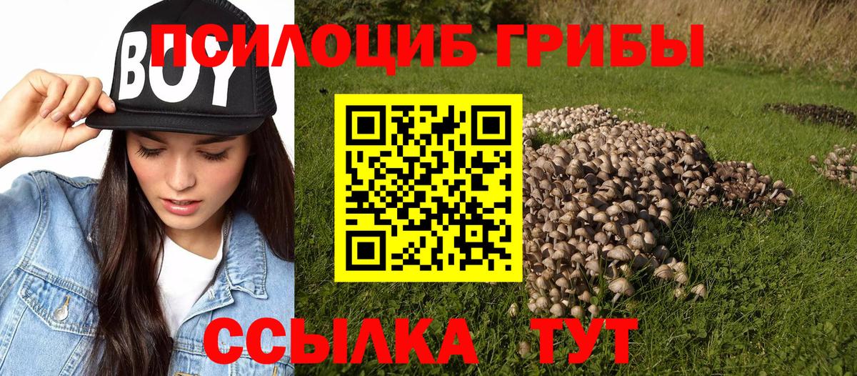 Псилоцибиновые грибы мицелий Лыткарино